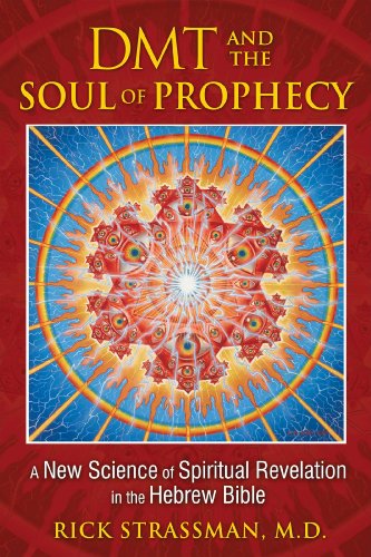 Book Cover DMT and the Soul of Prophecy: A New Science of Spiritual Revelation in the Hebrew Bible
