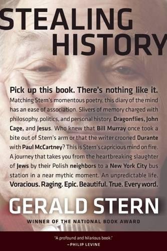 Book Cover Stealing History
