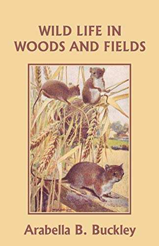 Book Cover Wild Life in Woods and Fields (Yesterday's Classics) (Eyes and No Eyes)