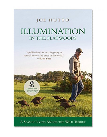 Illumination in the Flatwoods: A Season With The Wild Turkey