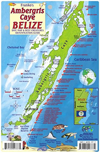 Book Cover Ambergris Caye Belize Dive Map & Reef Creatures Guide Franko Maps Laminated Fish Card