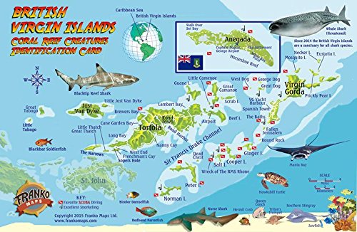 Book Cover British Virgin Islands Dive Map & Coral Reef Creatures Guide Franko Maps BVI Laminated Fish Card