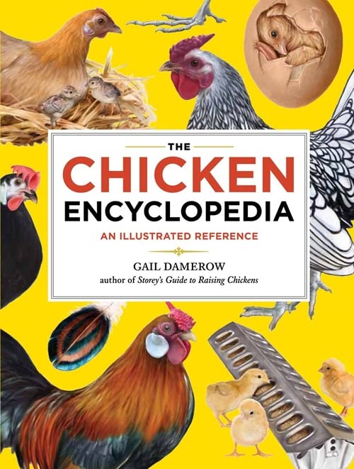 Book Cover The Chicken Encyclopedia: An Illustrated Reference