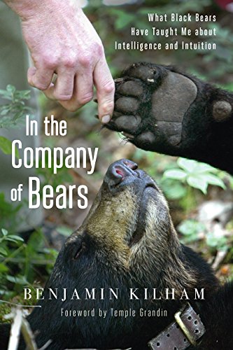 Book Cover In the Company of Bears: What Black Bears Have Taught Me about Intelligence and Intuition