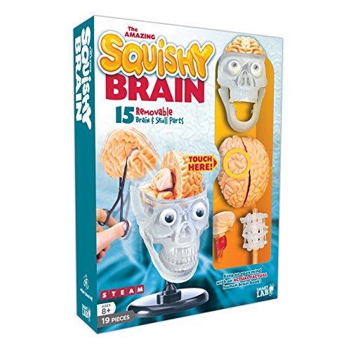 Book Cover SmartLab Toys The Amazing Squishy Brain