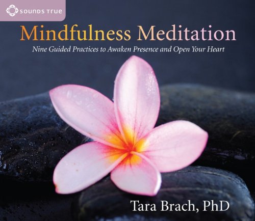 Book Cover Mindfulness Meditation: Nine Guided Practices to Awaken Presence and Open Your Heart
