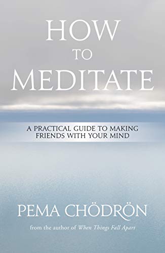 Book Cover How to Meditate: A Practical Guide to Making Friends with Your Mind