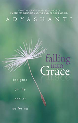 Book Cover Falling into Grace: Insights on the End of Suffering