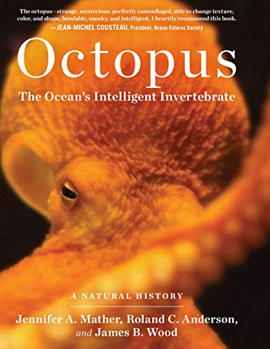 Book Cover Octopus: The Ocean's Intelligent Invertebrate
