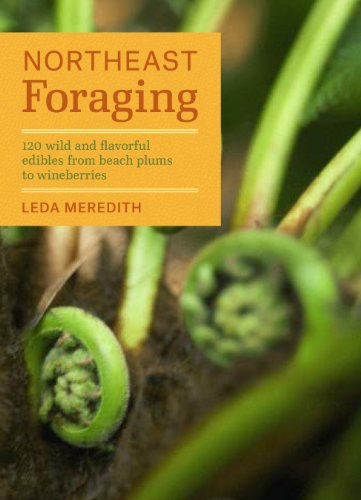 Book Cover Northeast Foraging: 120 Wild and Flavorful Edibles from Beach Plums to Wineberries (Regional Foraging Series)