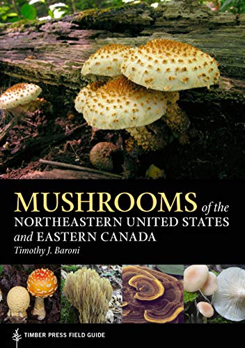 Book Cover Mushrooms of the Northeastern United States and Eastern Canada (A Timber Press Field Guide)