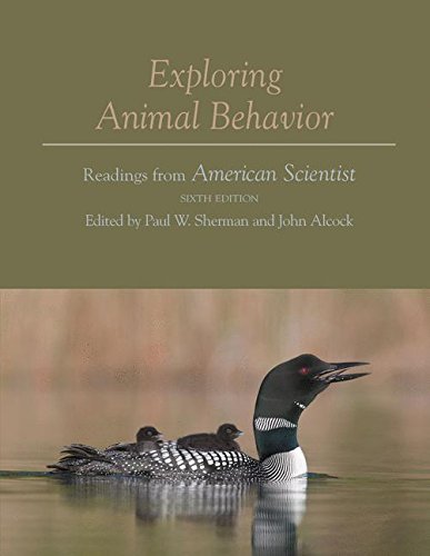 Book Cover Exploring Animal Behavior: Readings from American Scientist, Sixth Edition
