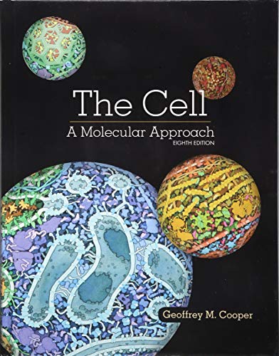 Book Cover The Cell: A Molecular Approach