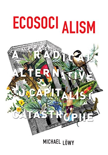Book Cover Ecosocialism: A Radical Alternative to Capitalist Catastrophe