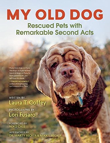 Book Cover My Old Dog: Rescued Pets with Remarkable Second Acts