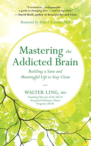 Book Cover Mastering the Addicted Brain: Building a Sane and Meaningful Life to Stay Clean