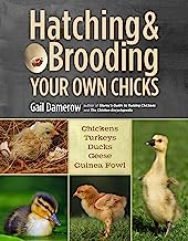 Book Cover Hatching & Brooding Your Own Chicks: Chickens, Turkeys, Ducks, Geese, Guinea Fowl
