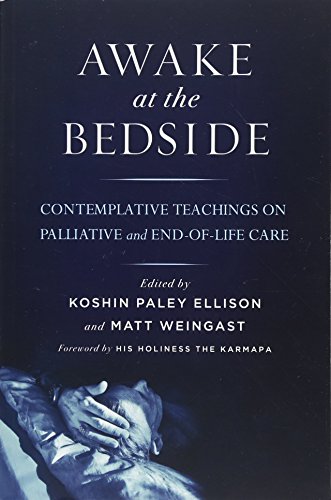 Book Cover Awake at the Bedside: Contemplative Teachings on Palliative and End-of-Life Care