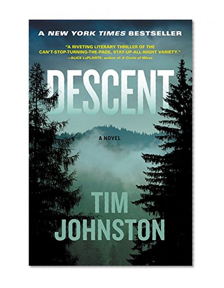 Book Cover Descent: A Novel