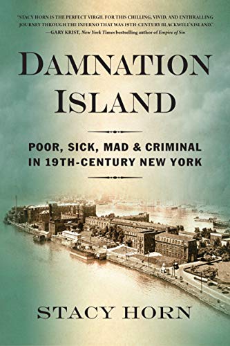 Book Cover Damnation Island: Poor, Sick, Mad, and Criminal in 19th-Century New York