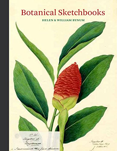 Book Cover Botanical Sketchbooks: (over 500 years of beautiful botanical sketches by 80 artists from around the world, from Leonardo da Vinci to John Muir)