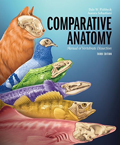Book Cover Comparative Anatomy: Manual of Vertebrate Dissection, 3e