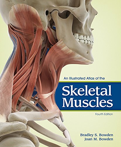 Book Cover An Illustrated Atlas of the Skeletal Muscles