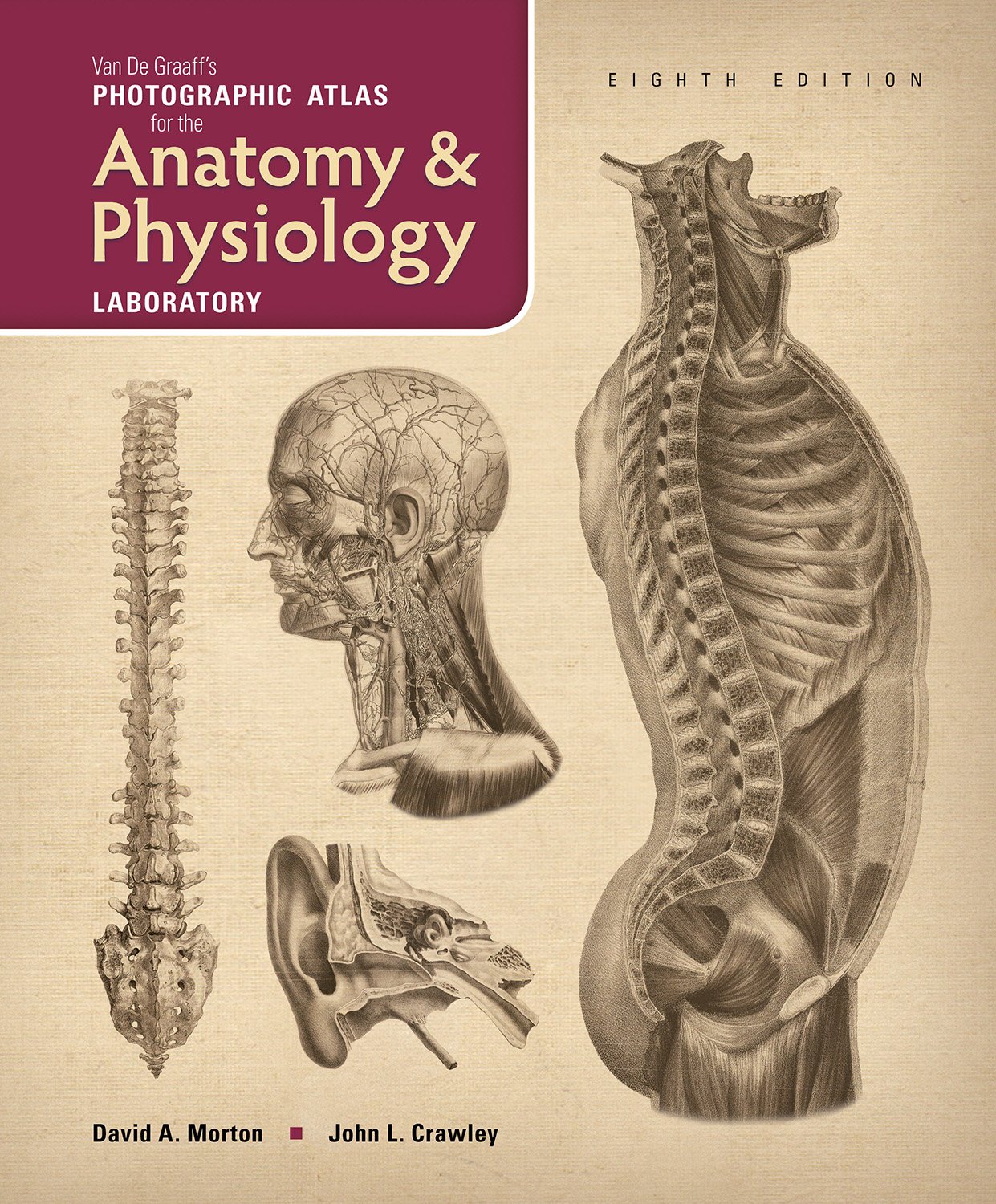 Book Cover Van De Graaff's Photographic Atlas for the Anatomy & Physiology Laboratory, 8e