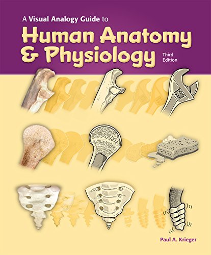 Book Cover Visual Analogy Guide to Human Anatomy & Physiology