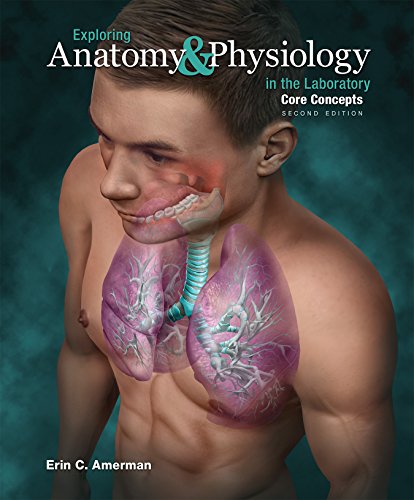 Book Cover Exploring Anatomy & Physiology in the Laboratory Core Concepts
