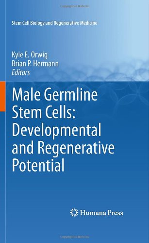 Male Germline Stem Cells: Developmental and Regenerative Potential (Stem Cell Biology and Regenerative Medicine)