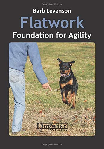 Book Cover Flatwork: Foundation for Agility