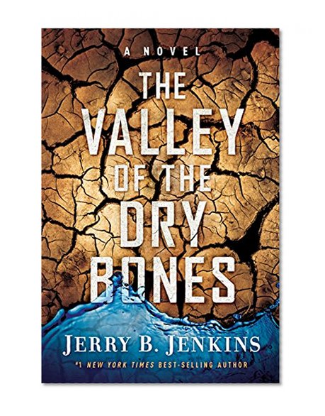 Book Cover The Valley of Dry Bones: A Novel (End Times)