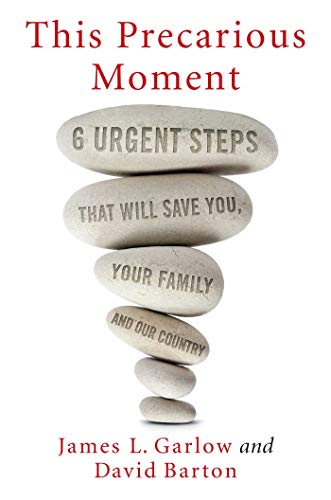 Book Cover This Precarious Moment: Six Urgent Steps that Will Save You, Your Family, and Our Country