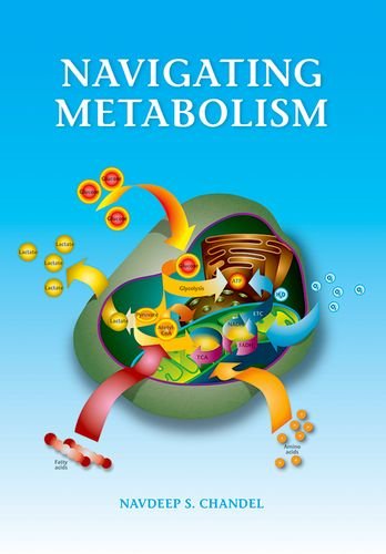 Book Cover Navigating Metabolism