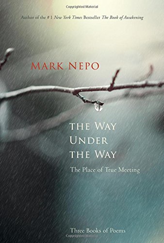 Book Cover The Way Under the Way: The Place of True Meeting