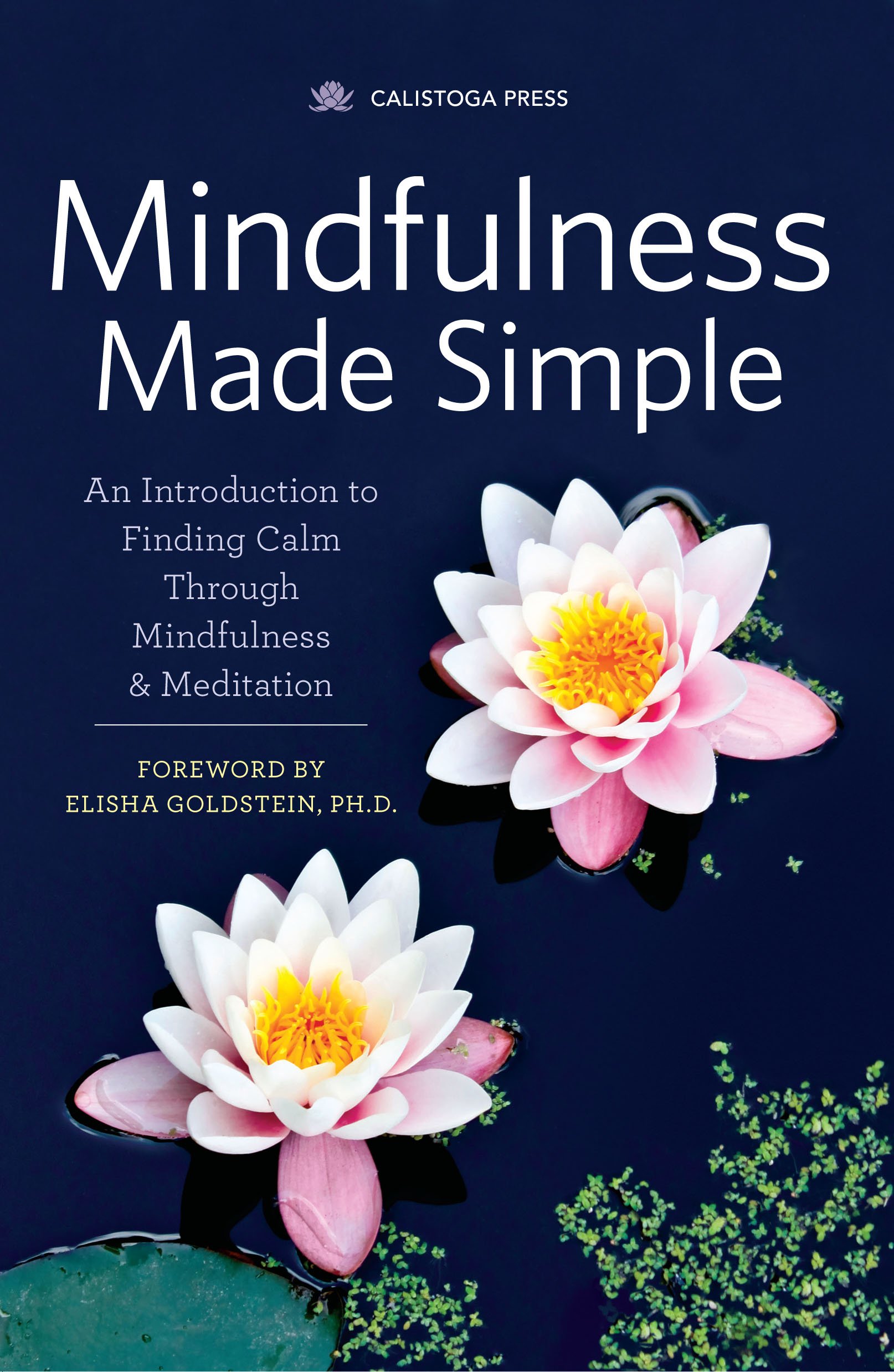 Book Cover Mindfulness Made Simple: An Introduction to Finding Calm Through Mindfulness & Meditation