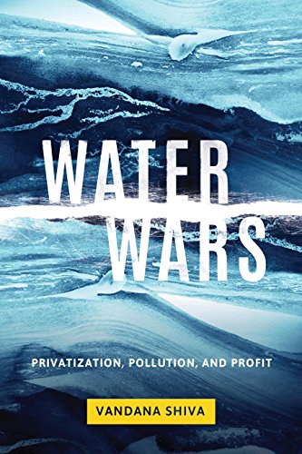 Book Cover Water Wars: Privatization, Pollution, and Profit