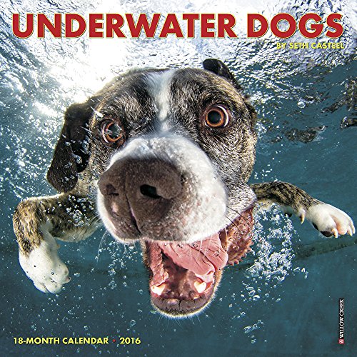 Underwater Dogs 2016 Calendar