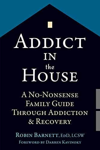 Book Cover Addict in the House (A No-Nonsense Family Guide Through Addiction and Recovery)