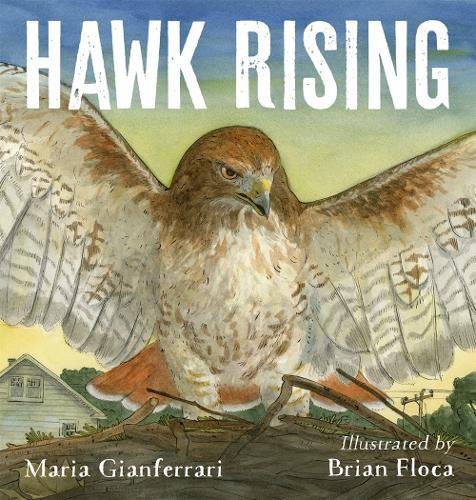 Book Cover Hawk Rising