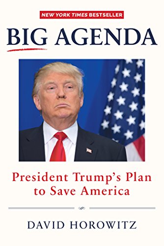 Book Cover BIG AGENDA: President Trump's Plan to Save America