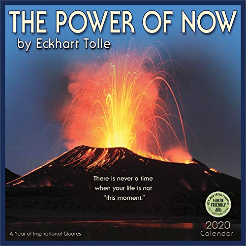 Book Cover The Power of Now 2020 Wall Calendar: A Year of Inspirational Quotes