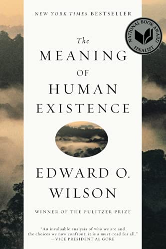 Book Cover The Meaning of Human Existence