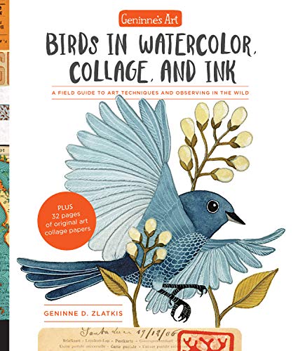 Book Cover Geninne's Art: Birds in Watercolor, Collage, and Ink: A field guide to art techniques and observing in the wild (Gennies Art)