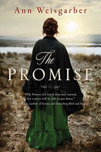 Book Cover The Promise: A Novel
