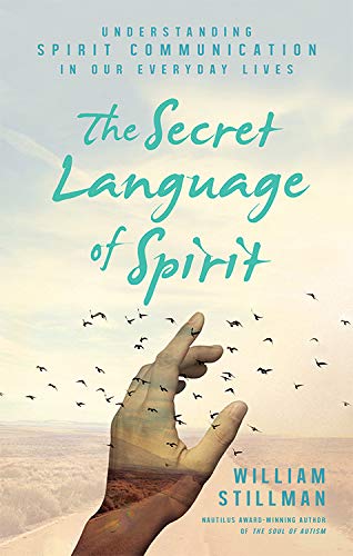 Book Cover The Secret Language of Spirit: Understanding Spirit Communication in Our Everyday Lives