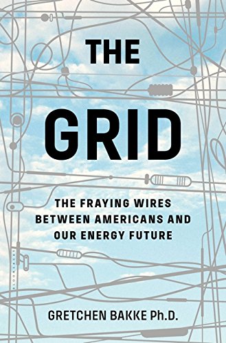Book Cover The Grid: The Fraying Wires Between Americans and Our Energy Future