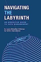 Book Cover Navigating the Labyrinth: An Executive Guide to Data Management