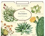 Cavallini Papers & Co., Inc. FF/SUC File Folders Succulents 12 File Foldersper Set